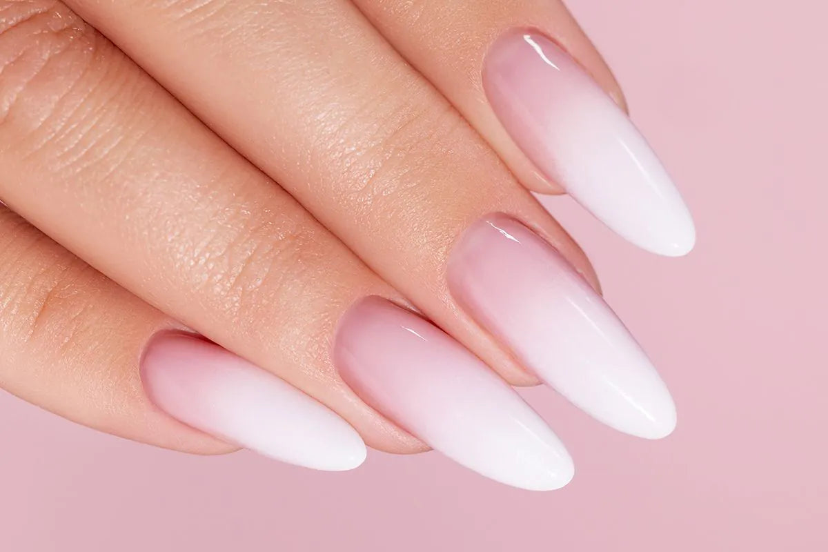 BOOMY OMBRE SPONGES & GRIPPER