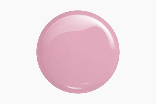 04 Soft Pink Master Gel 60 g