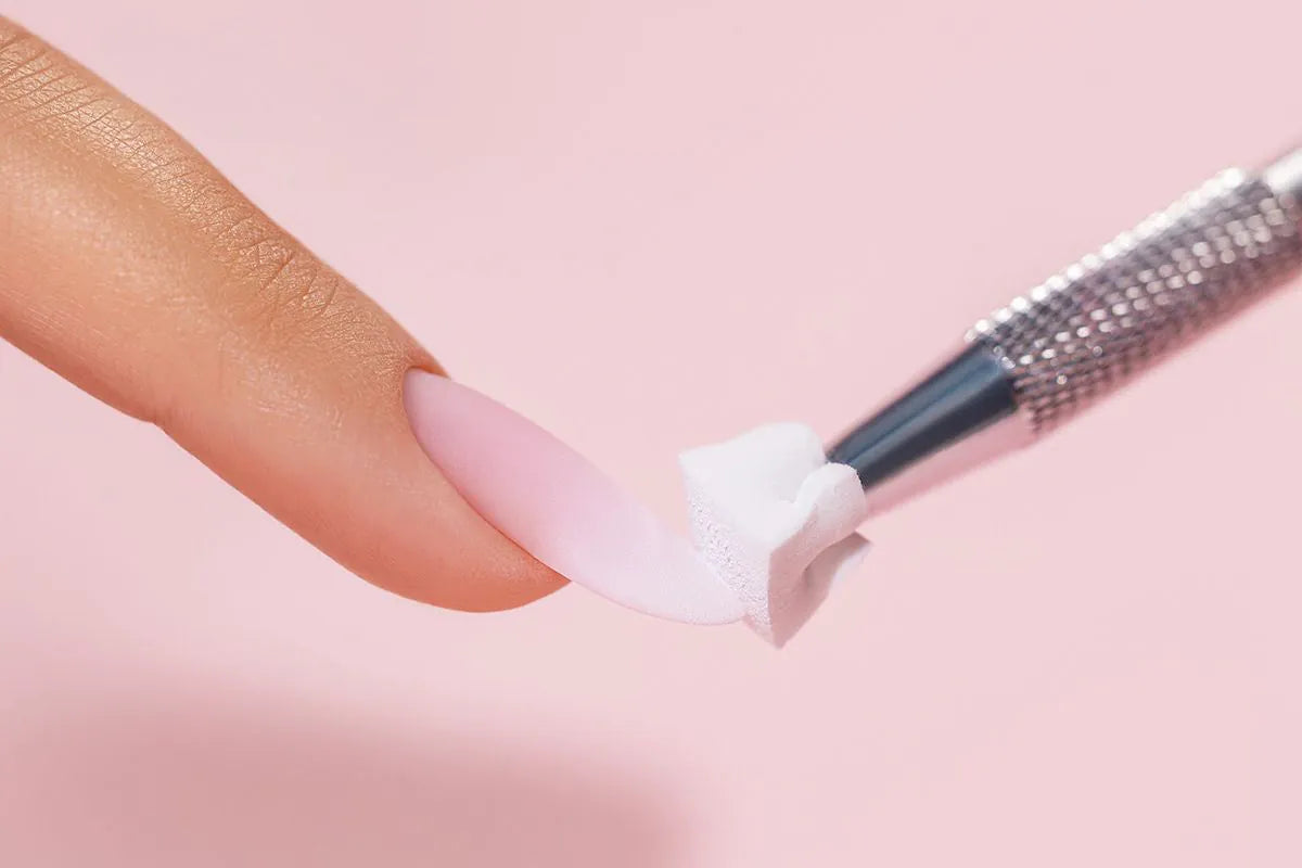 BOOMY OMBRE SPONGES & GRIPPER